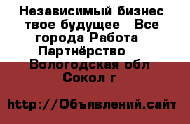 Независимый бизнес-твое будущее - Все города Работа » Партнёрство   . Вологодская обл.,Сокол г.